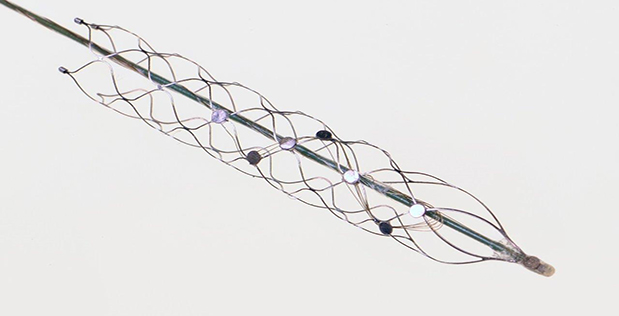 The Experimental Neural Interface Brain Stent